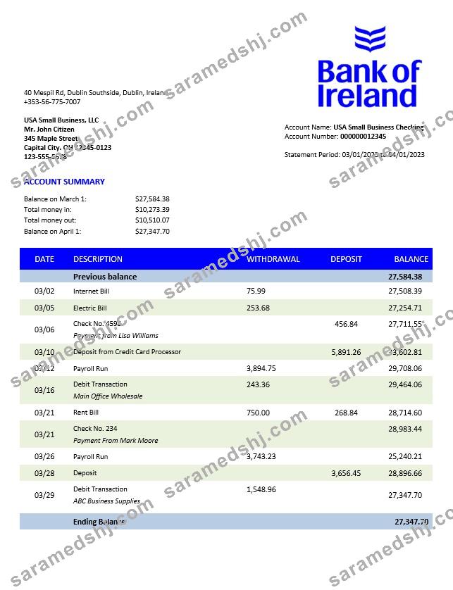 Bank of Ireland enterprise statement Word and PDF template